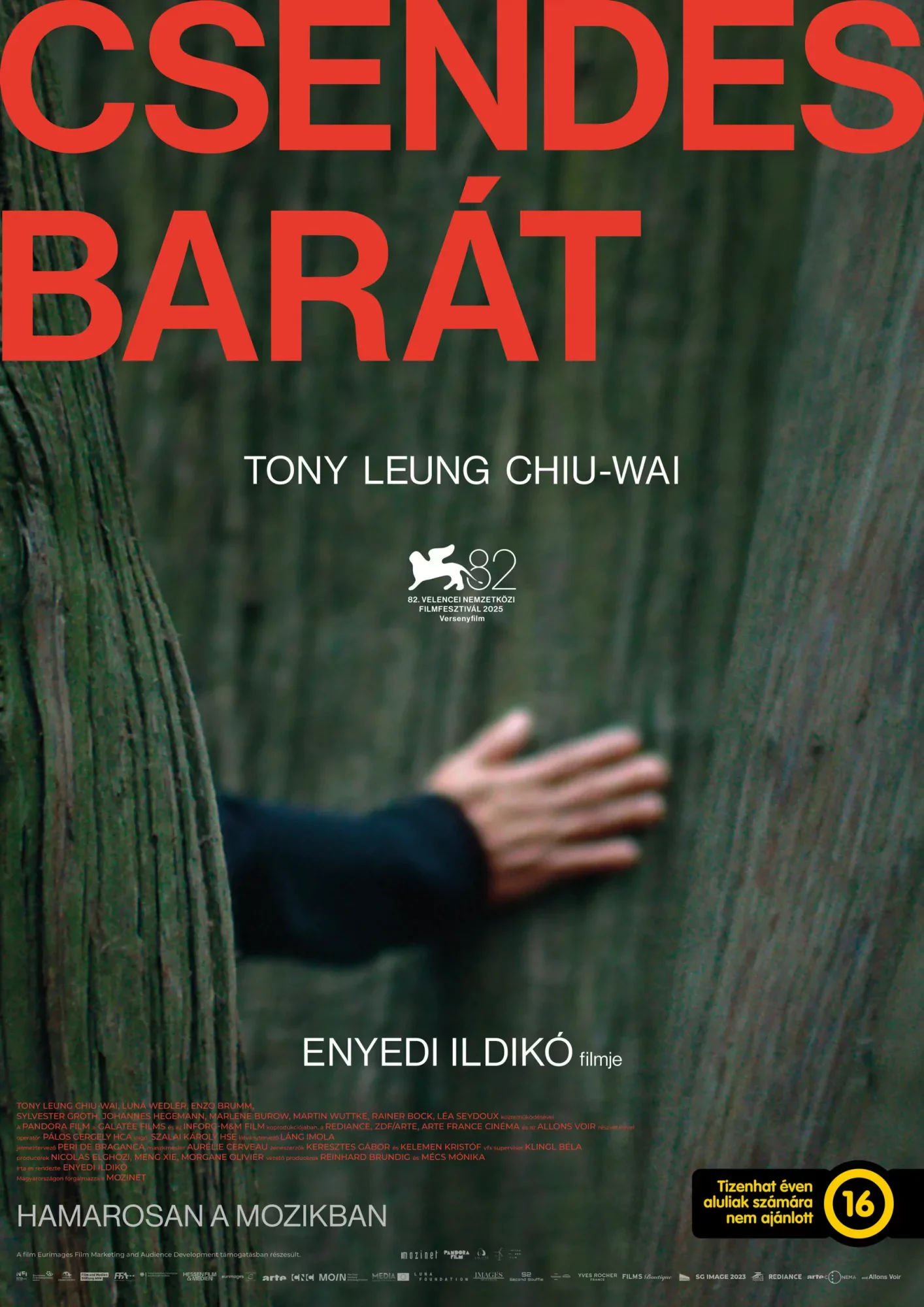 15. Mozinet Filmnapok - Csendes bart