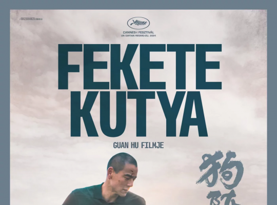 Fekete kutya