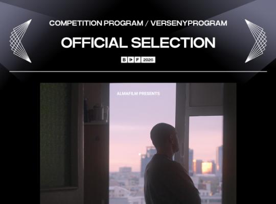 BIDF - Megsebzett sz�vek