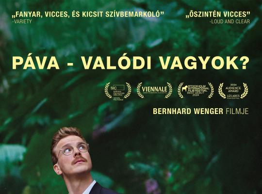 Pva - Valdi vagyok?